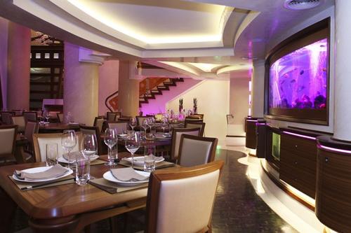 Chi Lounge - Modern Chinese Cuisine