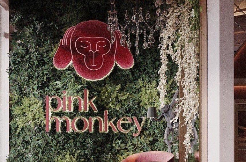 Pink Monkey