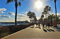 PHOTOS: The winter in Limassol is full of wonderful contrasts!