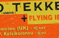 Trio Tekke & Flying Ibex