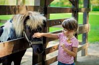 OPENING: Theme pony park in Limassol, ready to welcome all children and parents!
