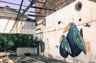 PHOTOS: The deserted SODAP factory is a non typical street art gallery!