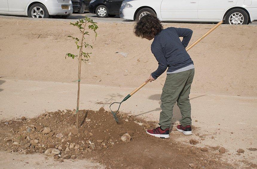 Limassol hosted the largest tree plantation ever in Cyprus!