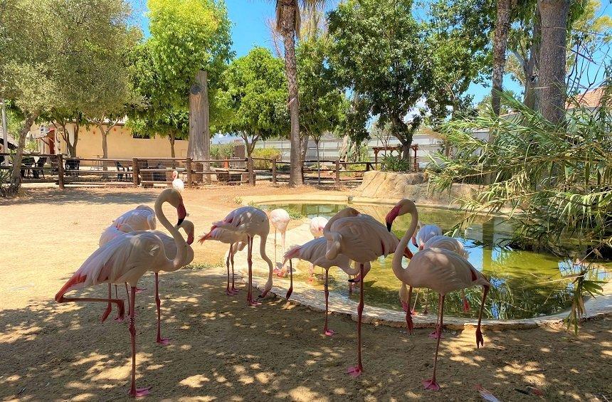 Limassol Zoo