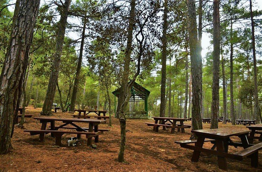 Kampi tou Kalogirou Picnic Site (Troodos)