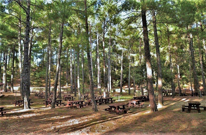 Kampi tou Kalogirou Picnic Site (Troodos)