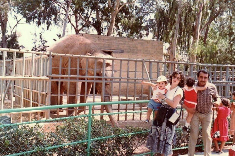 Limassol Municpial Garden 1980