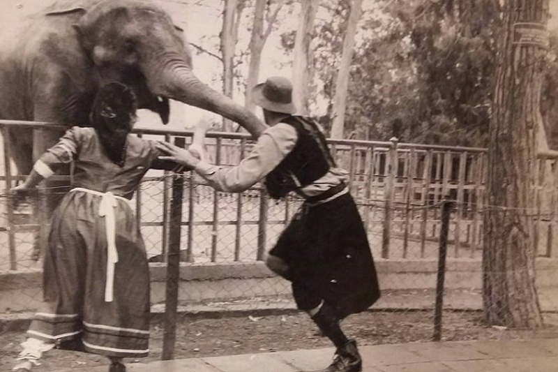 During a play at the Limassol Municpial Garden