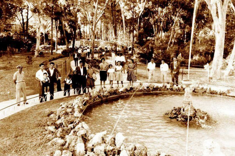 Limassol Municpial Garden 1967