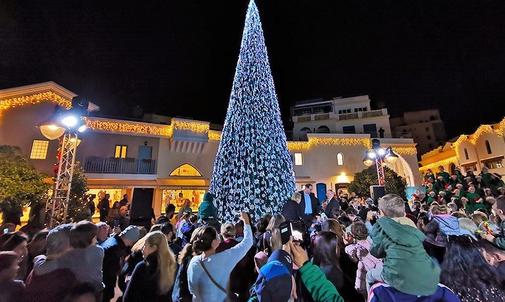 Christmas on the sea with the tallest tree in Limassol!