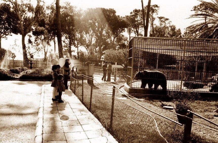 Οι Λεμεσιανοί θυμούνται το Δημόσιο Κήπο: 30+ νοσταλγικές φωτογραφίες από τα 100+ χρόνια ζωής του...