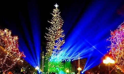 Christmas Tree Lighting