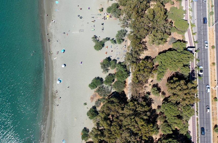 PHOTOS + VIDEO: Η παραλία της Λεμεσού με το πλούσιο πράσινο, βραβευμένη με τη Γαλάζια Σημαία!