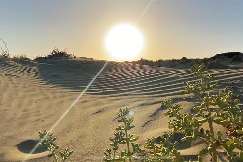 Η «έρημος» με τους αμμόλοφους στη Λεμεσό!