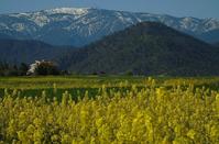 Από σήμερα, ο χρόνος μετράει αντίστροφα και τα καλύτερα έρχονται!