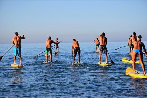 SUP (Stand Up Paddle)