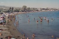 PHOTOS: Άνθρωποι και κατσίκια λούζονταν πλάι - πλάι σε δημοφιλή παραλία της Λεμεσού!