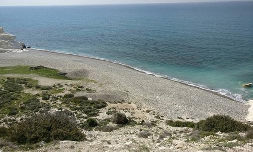 PHOTOS: A humane beach for dogs is being set up in Pissouri