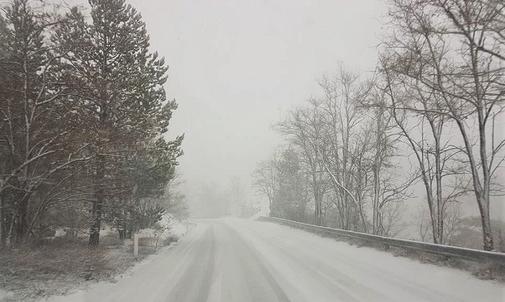 PHOTOS: First snowfall on Troodos mountains is a fact!