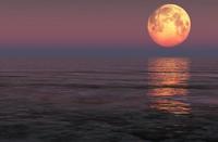 «Σούπερ Σελήνη» στη Λεμεσό: Ετοιμαστείτε για το μεγαλύτερο φεγγάρι από το 1948