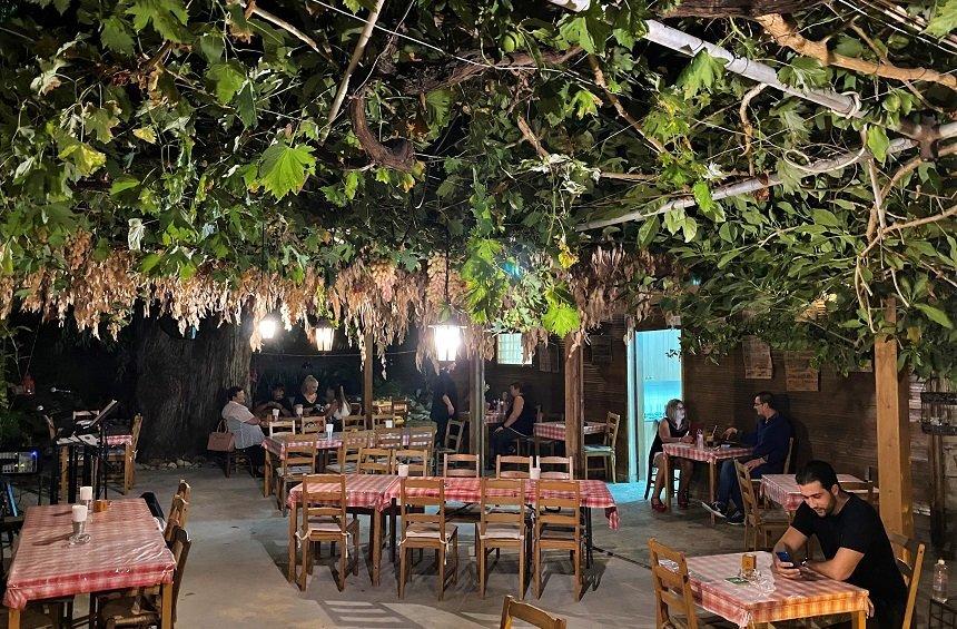 «Καφενείο ο Πλάτανος»: Ένα γραφικό στέκι στην καρδιά του ιστορικού κέντρου της Λεμεσού!