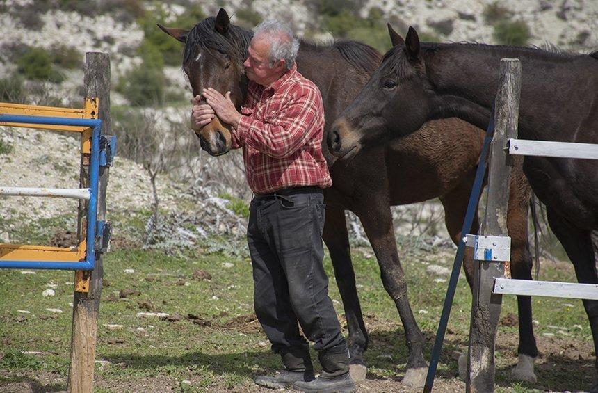 Όμοδος