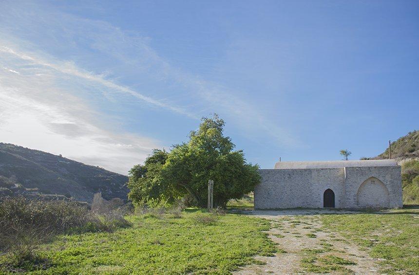 Δάφνη στο Όμοδος.