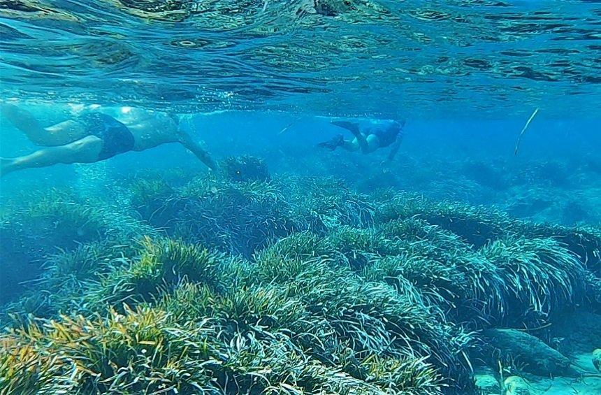 Θαλάσσια εξερεύνηση στο βυθισμένο λιμάνι της Αμαθούντας!