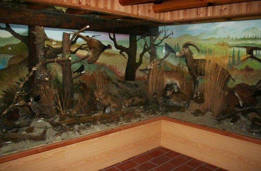 Μουσείο Αγροτικής Παραδοσιακής Ζωής - Φυσικής Ιστορίας (Κυπερούντα)