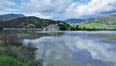 Φωτογραφία: Αντρέας Κωνσταντίνου