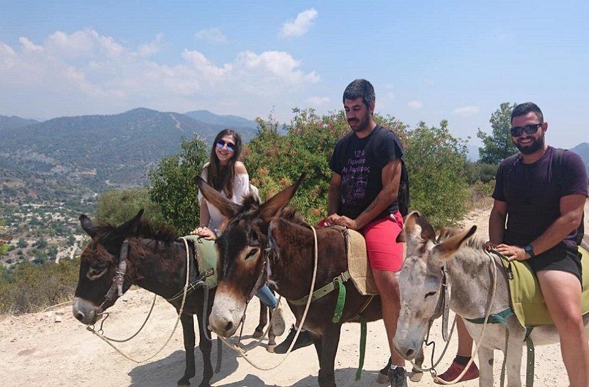 Apesia Hills Donkey Farm