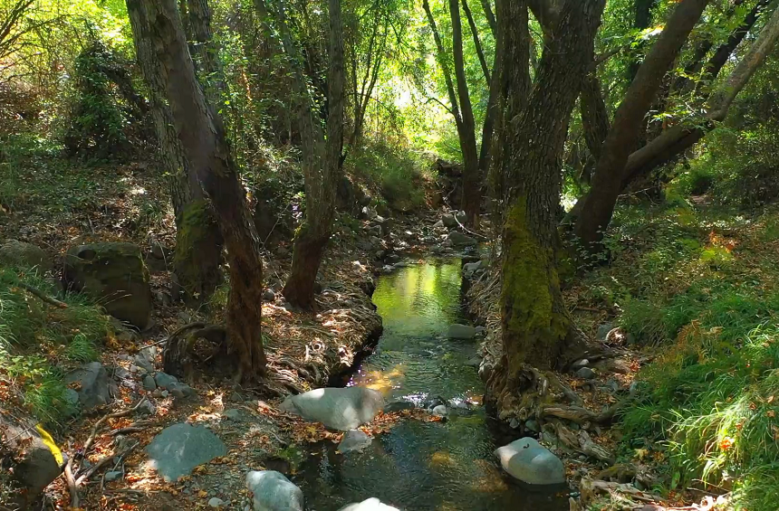 Γεφύρι της Μηλιάς (Πλάτρες)