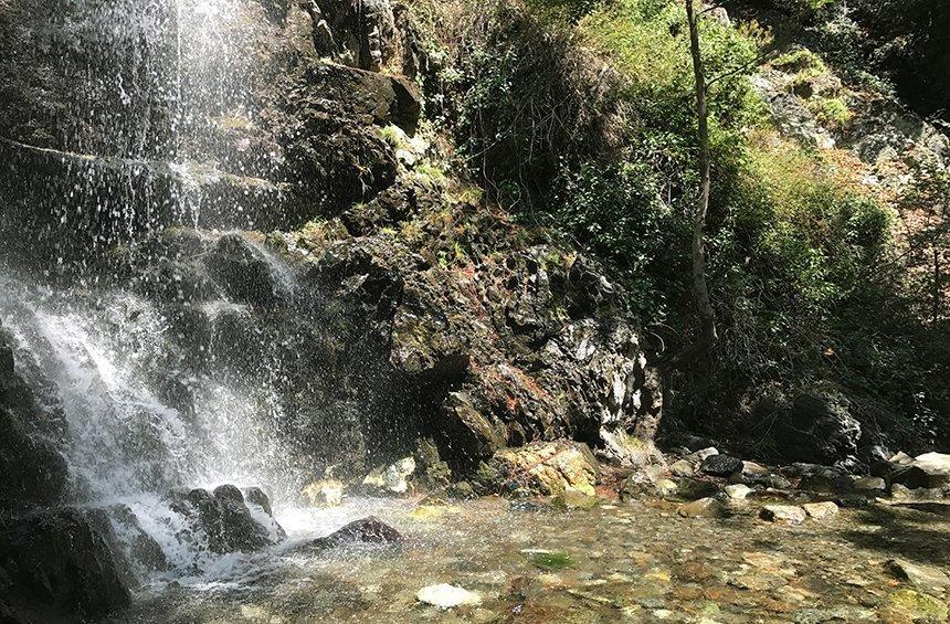 Μονοπάτι της φύσης «Καληδόνια» (Πλάτρες)