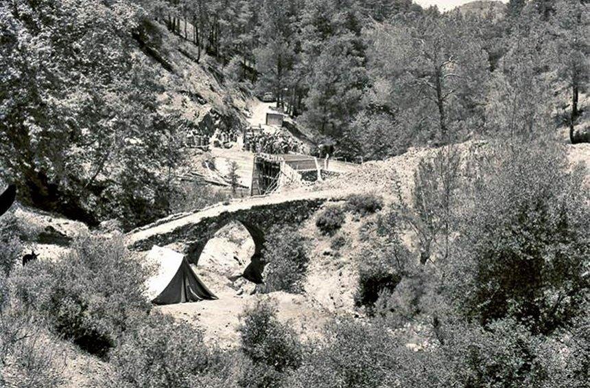 Φωτογραφία: Τμήμα Δασών