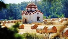 Φωτογραφία: Γρηγόρης Πιπερίδης