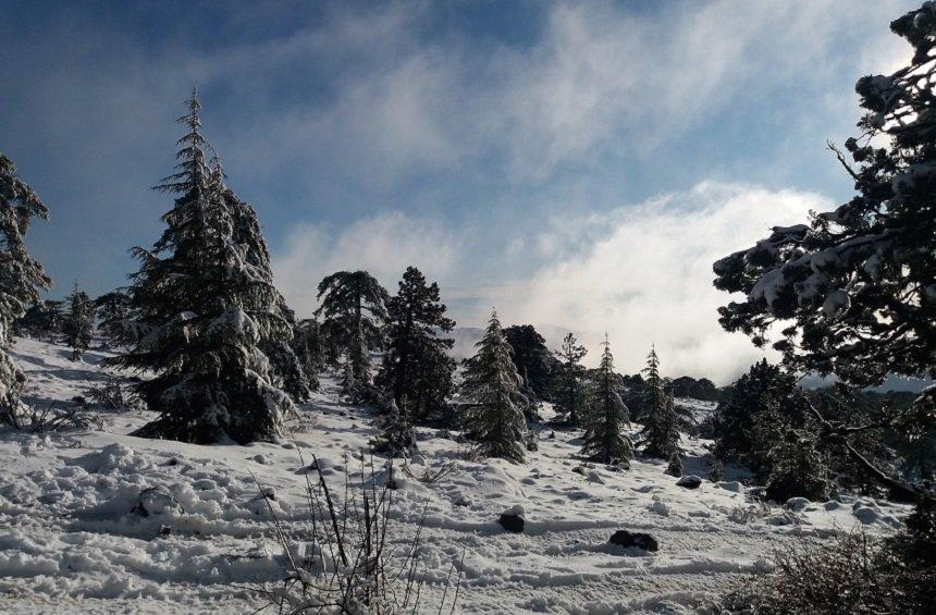 20 + 1 μαγευτικές εικόνες από τη χιονισμένη πρωτοχρονιά στο Τρόοδος!