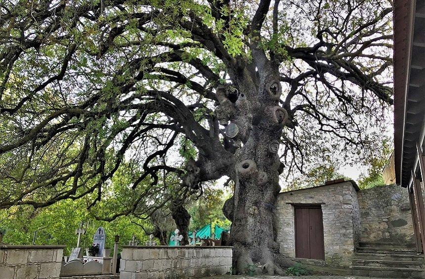 Εκκλησία Αγίων Σεργίου και Βάκχου (Κισσούσα)