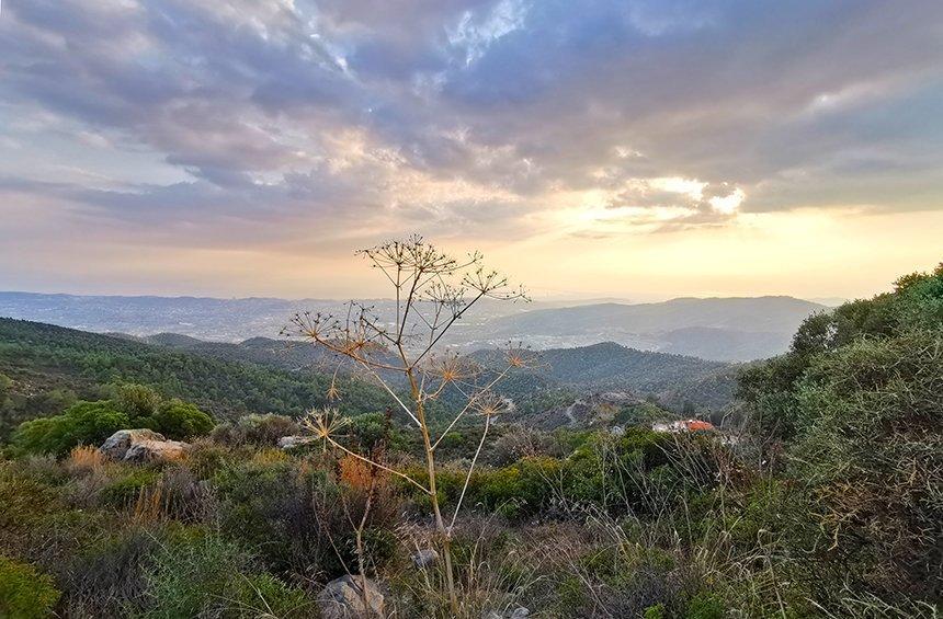 Σημείο Θέας Κελλακίου (Σινοά)