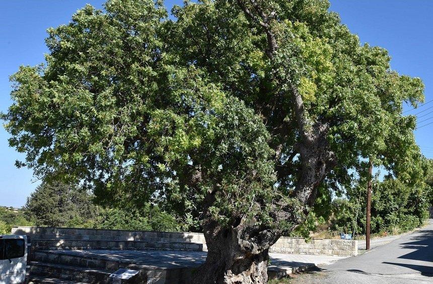 Φωτογραφία: Κώστας Μαγειρούδης