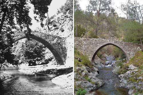 Venetian Olive Tree Bridge