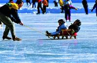 Let's go ice-skating: A huge ice rink is set up in the Old Port!