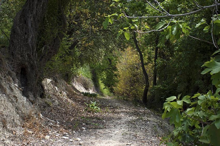 PHOTOS: A refreshing route, in mountainous Limassol!