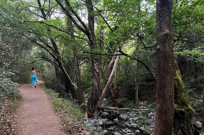 'Millomeris Waterfall' Trail (Platres Village)