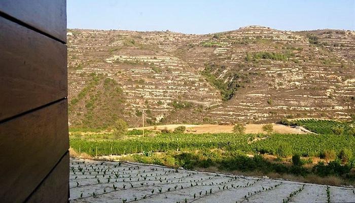 Video showcases Limassol countryside and vineyards on Aegean Airways flights!