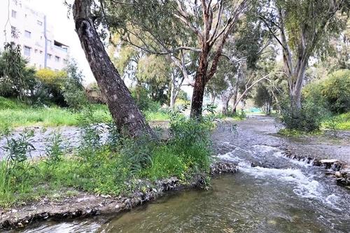 Eucalyptus park - Potamos Yermasoyias