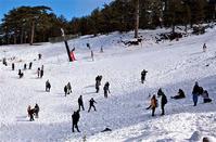 World Snow Day in Cyprus with a winter party for all on Troodos!