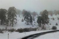 PHOTOS: The amazing pictures of the snow on Troodos
