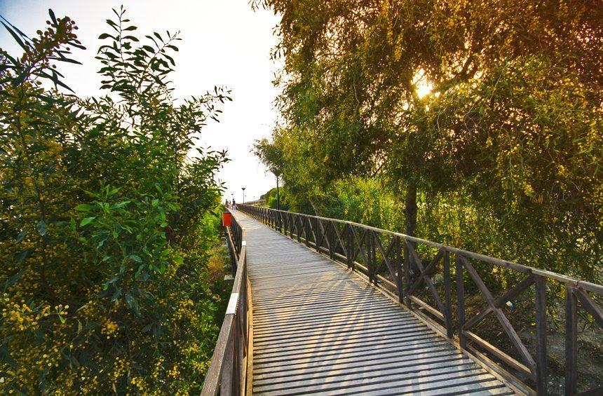 Amathus Sea Side Walking Path