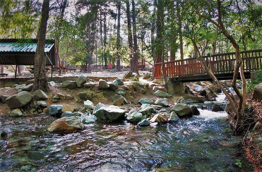 Arkolachania Picnic Site (Mesa Potamos)