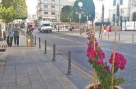 PHOTOS: Limassol's most typical street is now even more beautiful!